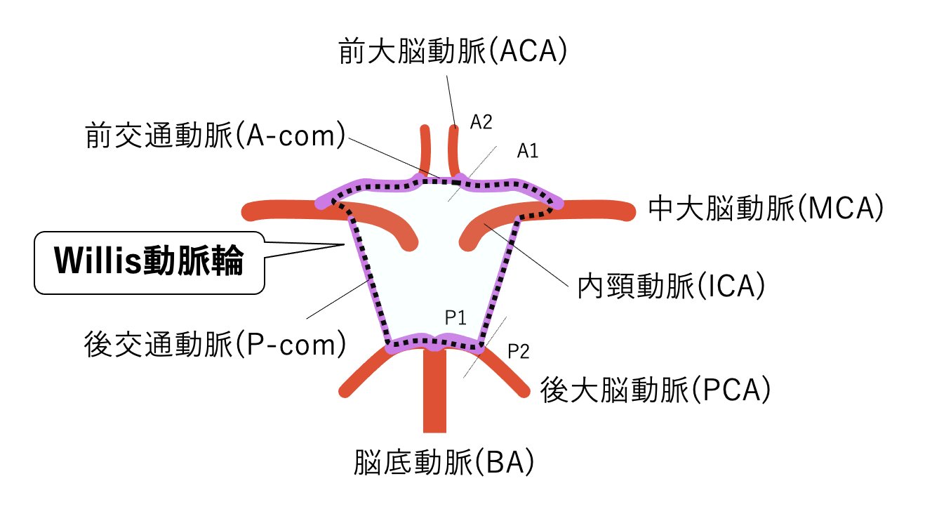 Que veut dire ウィリス動脈輪ウィリスどうみゃくりんuirisudoumyakurin? - dic