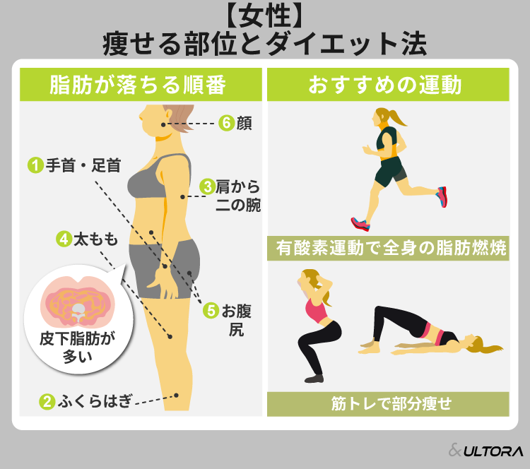 男女で違う？ ダイエットで痩せる順番とは～顔やデコルテ、背中 はいつ痩せる？～美容と健康とビタミンC