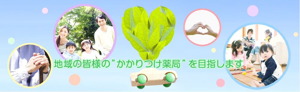 整形外科2Dデジタルプランニングツール mediCAD Classic製造販売企業:株式会社東陽テクニカプロダクトデータベース-メディカル オンライン