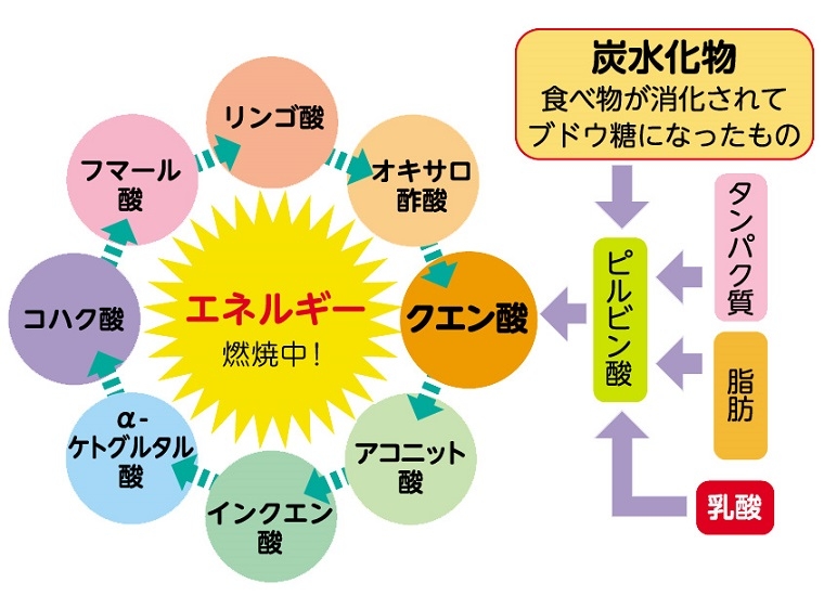 デマ？危険？ 重曹クエン酸水のデメリットとは効果なしといった口コミの真相を解説ウォーターサーバー – LiPro ライプロあなたの「暮らし」の提案をする情報メディア