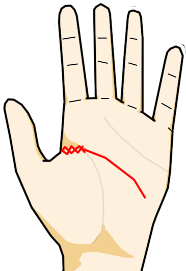 ❀ 今日は生命線と頭脳線の起点が 離れている人とくっついている人の 手相について勉強しました✨ くっつき型の人はチームや組織離れ型の人はフリーや起業 経営 自分で決める仕事に向いてるそう 現在店で無料で占っていますが お１人だけお金をくれた方がいて その方は
