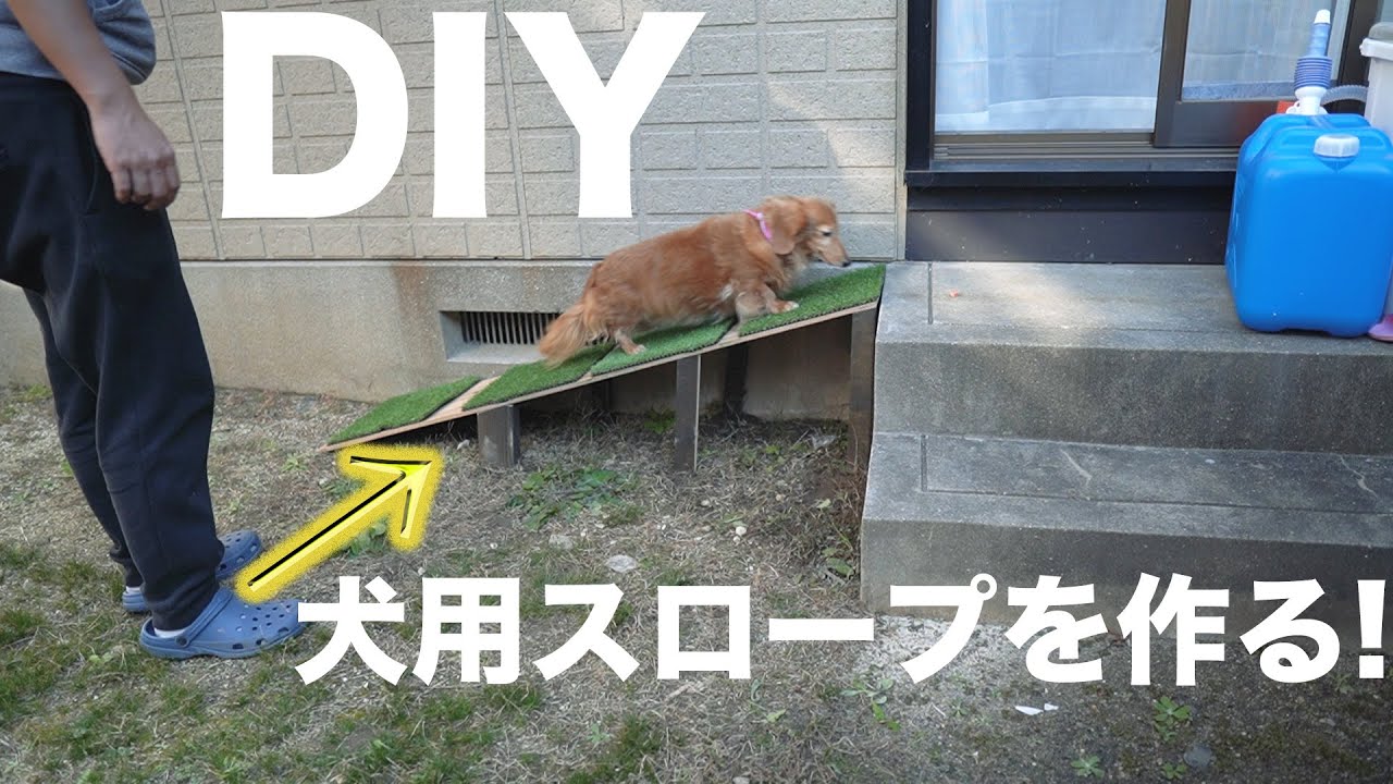 100均グッズで作る ペットステップコラム - リビング滋賀女性のための総合生活情報紙