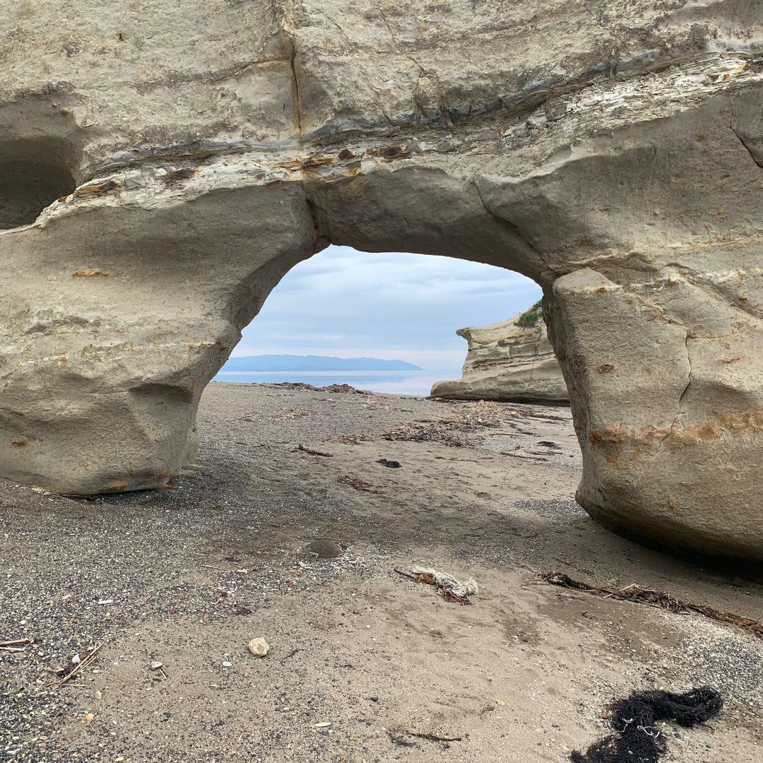 京の名水に詳しい専門家も足繁く通う、弘法大師・空海ゆかりの「弘法水」 「水のみやこ」の歴史と文化を訪ねるサライ.jp小学館の雑誌『サライ』公式サイト