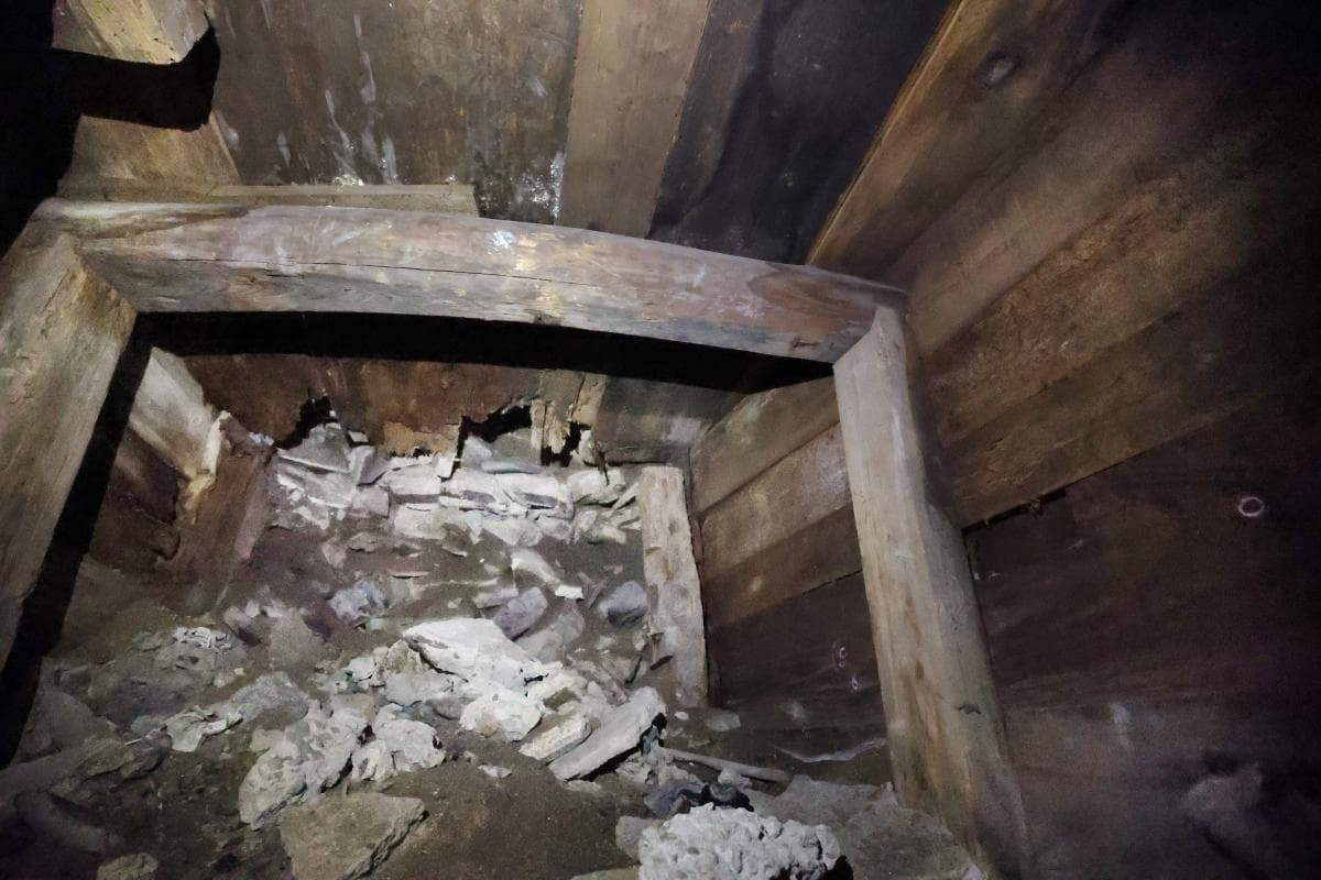 戦時中を背景に語られる『この世界の片隅に』生きる幸せ しゃベルシネマ by 八雲ふみね・第104回– ニッポン放送 NEWS ONLINE