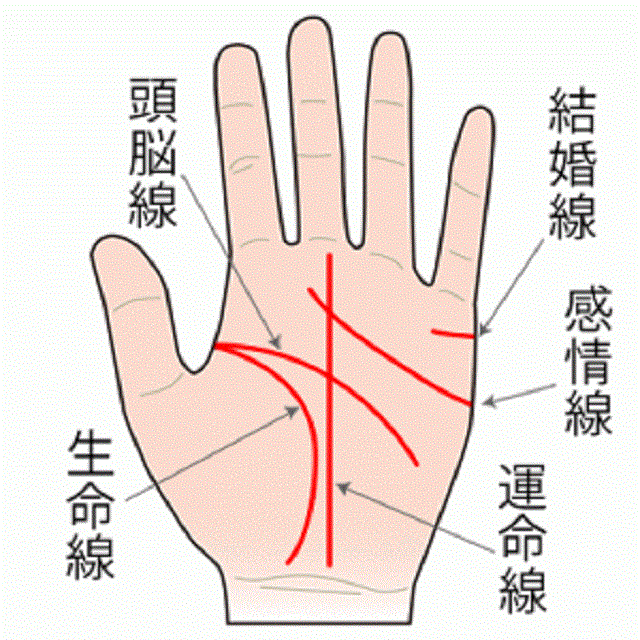星ひとみの恋する手相占い・ ~ 基本線と補助線 ~星ひとみ - チーズ！ネット