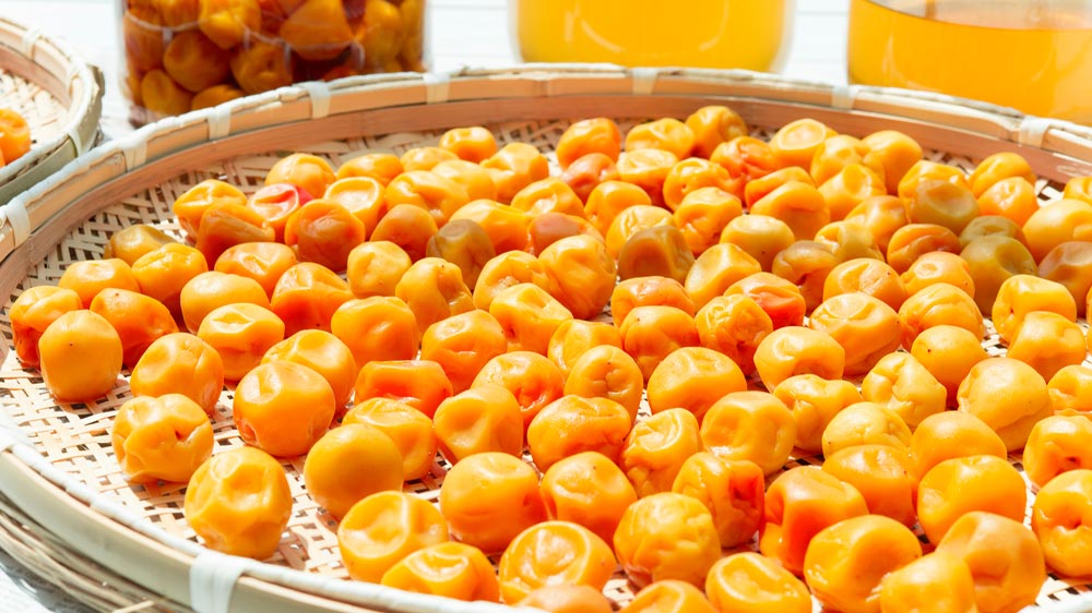 梅干しの健康効果がスゴイ！その秘めたるパワーやおすすめレシピをご紹介ふるなび公式ブログ ふるさと納税DISCOVERY