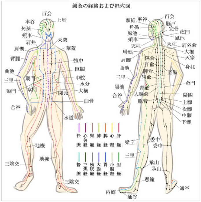 鍼灸師解説 崩れた自律神経に効果的なツボを紹介！手・足・お腹・背中など – EPARKくすりの窓口コラムヘルスケア情報