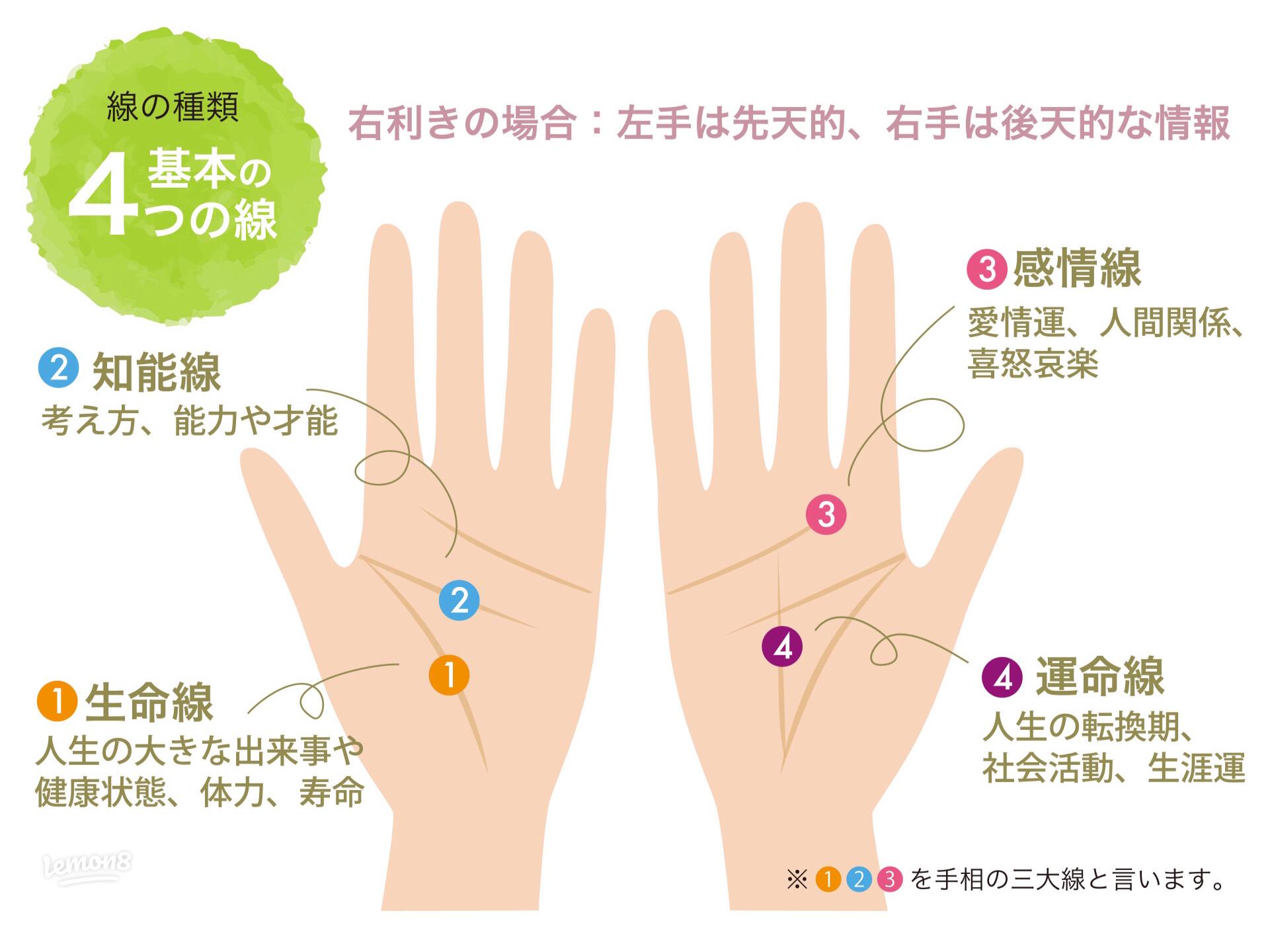 手を詠む: 鎖状の感情線