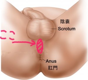 पोर्नहब डाउनलोड: 【サイニー】催眠音声でトリップしながら連続ドライ オーガズム・衝撃のメスイキ体験‼️『双子のい・い・な・り～性感開発ボイス～』オナニー 素人