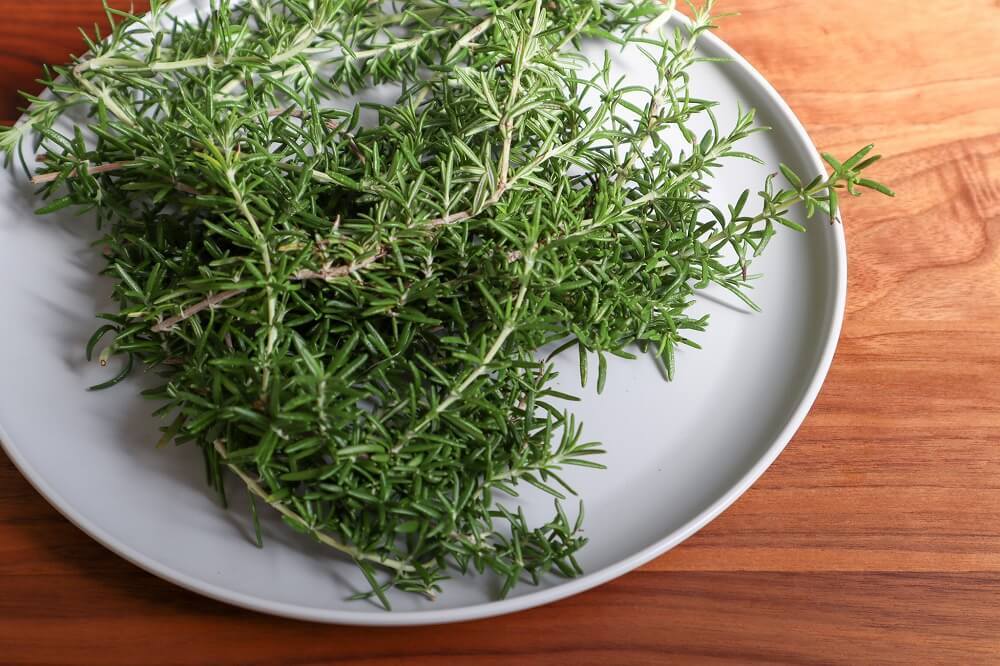 農家が教えるローズマリーの育て方 失敗しない挿し木の方法は？マイナビ農業