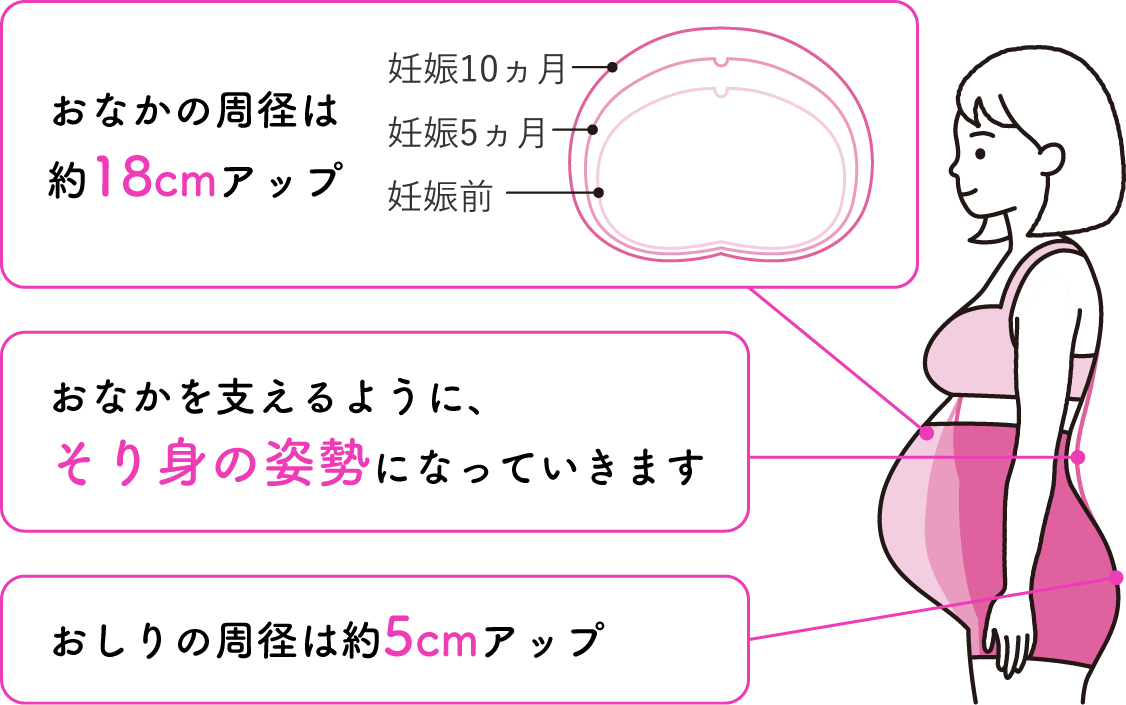 妊娠・出産による変化 その１ ～姿勢～東京都北区でお産ができる出産施設なら東京北医療センター産婦人科