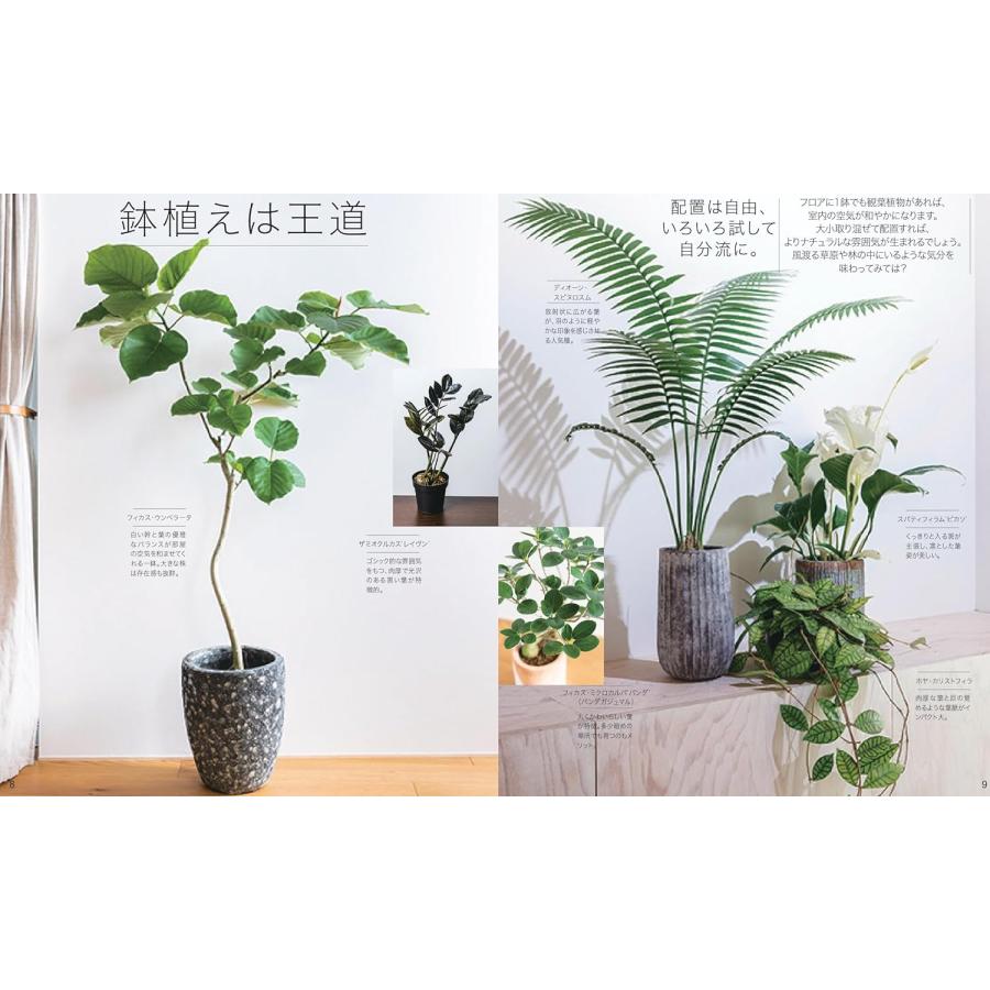初心者でも挑戦できるインドアグリーンのススメ 部屋と趣味が充実する傑作買い得モノ＆GP