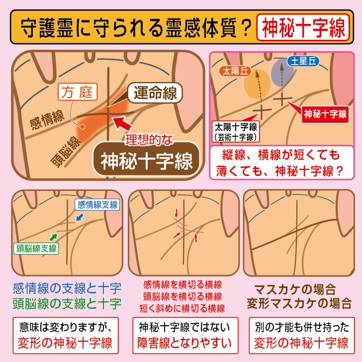 手相『太陽線』完全ガイド！2股に枝分かれ・V字やY字の線は？ パターン別図解- zired