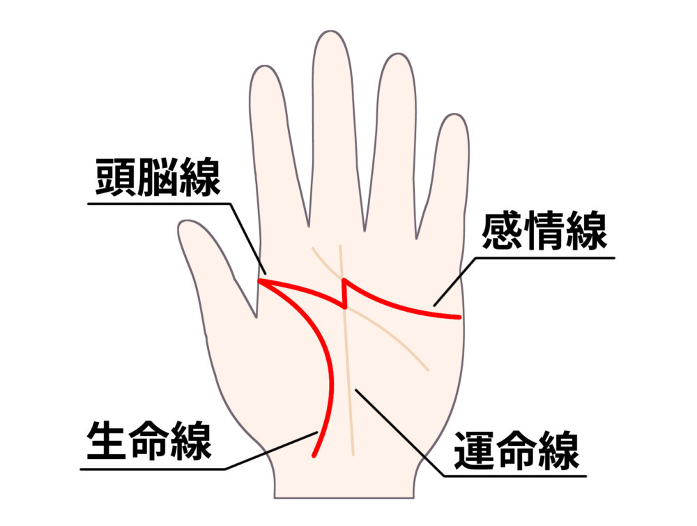 手相 感情線 枝分かれ 三本TikTok