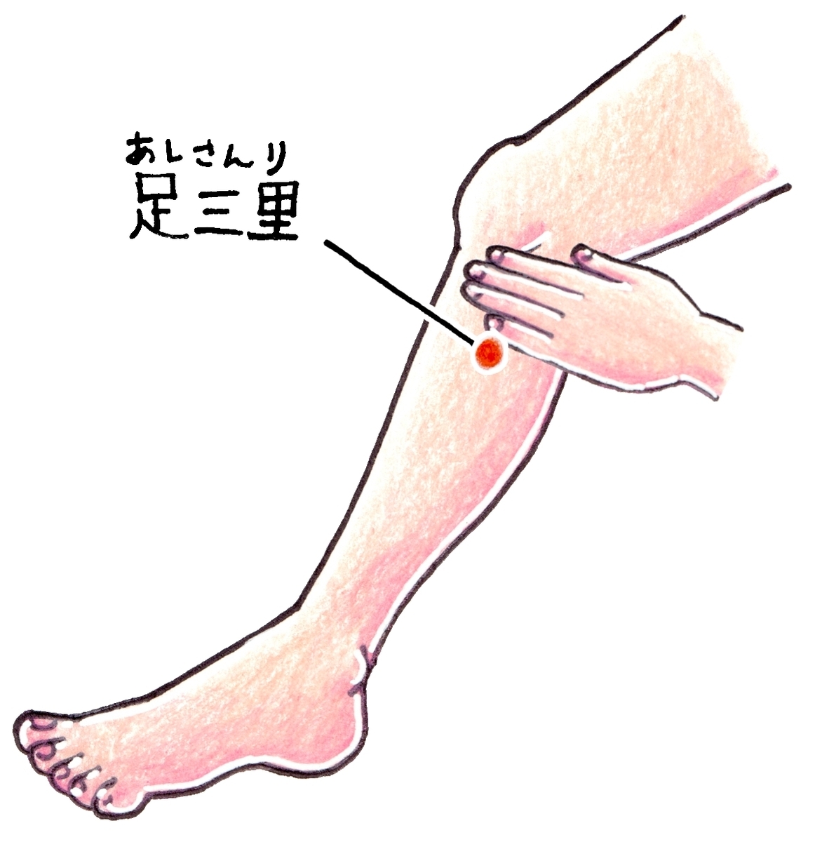 風邪に効くツボ季節の変わり目の風邪にセルフケアで対処するツボ押しのポイント