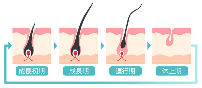 毛嚢炎の原因と正しい予防の方法メンズ脱毛百科事典 リンクスペディア