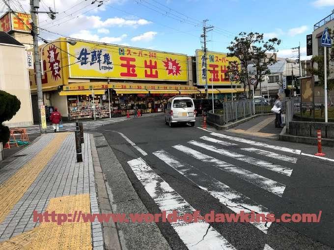 信太山新地の魅力とおすすめスポット