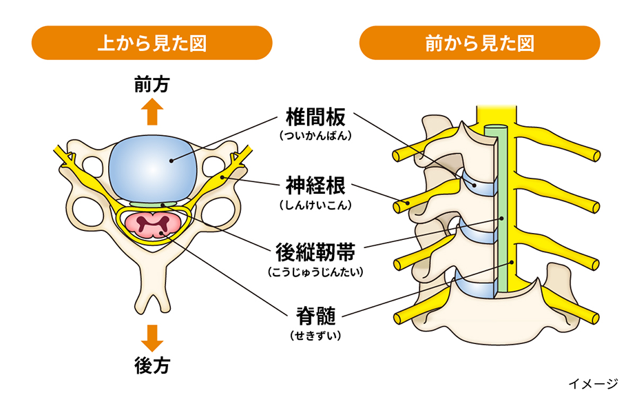 手首が痛い』ときの対処法は？手首が痛い場合に考えられる原因を解説カラダケア研究所MEDIAID Online – メディエイド公式オンラインショップ