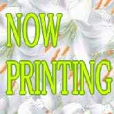 映画 1 アメリカングラフィティ！古き良きアメリカにタイムスリップ！おいちひろ趣味の部屋