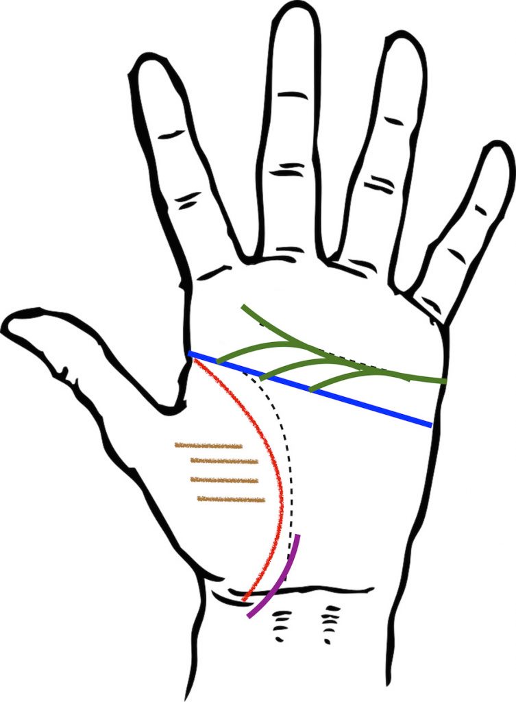 手相占い 手相の見方と意味を分かりやすく解説！また、最強運と言われる手相も紹介