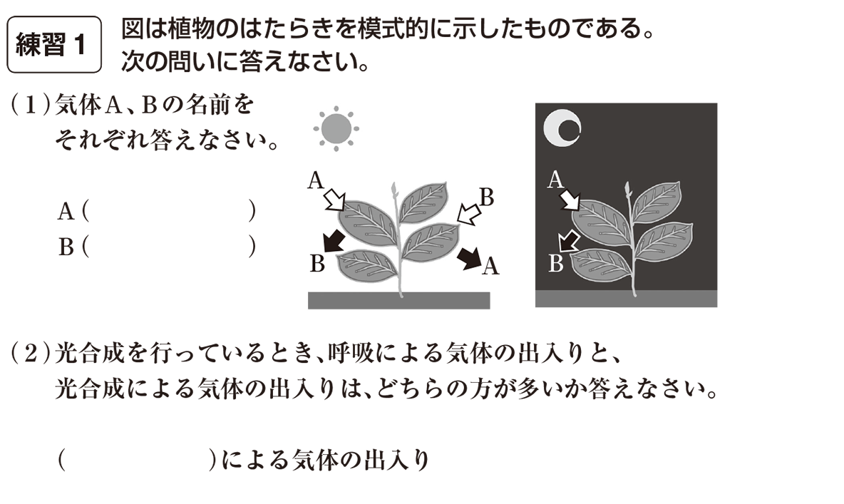 中1理科 「呼吸と光合成の実験」映像授業のTry ITトライイット