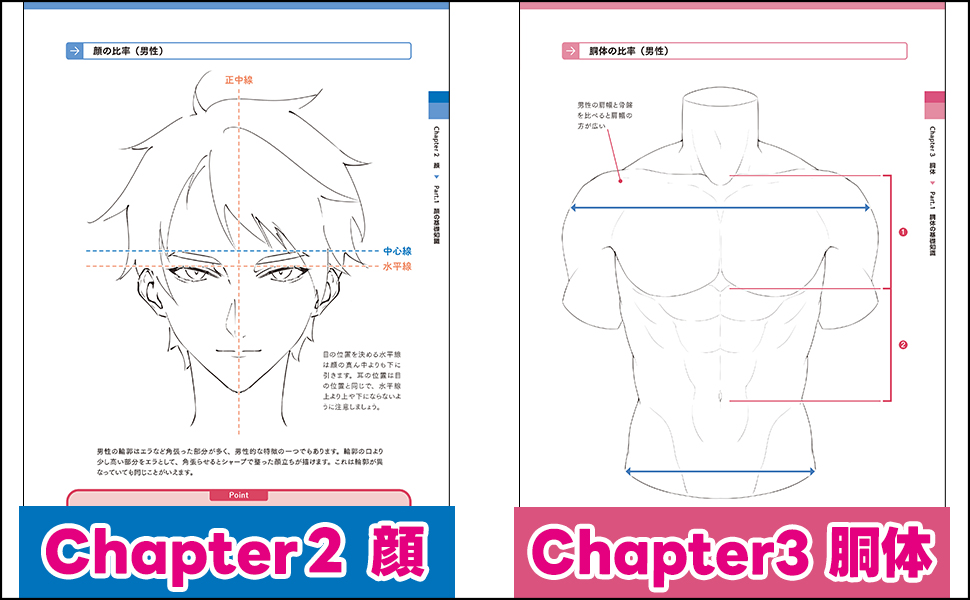 体をバランスよく描きたい人のためのアタリの描き方シジストラボ