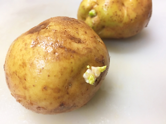 じゃがいもの芽は危険！中毒症状から取り除く方法や保管方法まで徹底解説！ - E・レシピ 1 1ページ