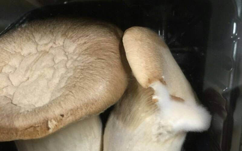 マッシュルームの石づきは食べられるの？カビは生えるの？石づきの取り方や切り方について知って得するキノコのまとめ