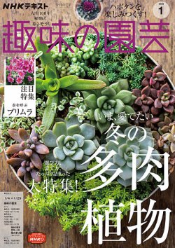 塊根・多肉植物のブームと園芸という趣味の持続性の話ミウラタカオ植物画＆園芸家