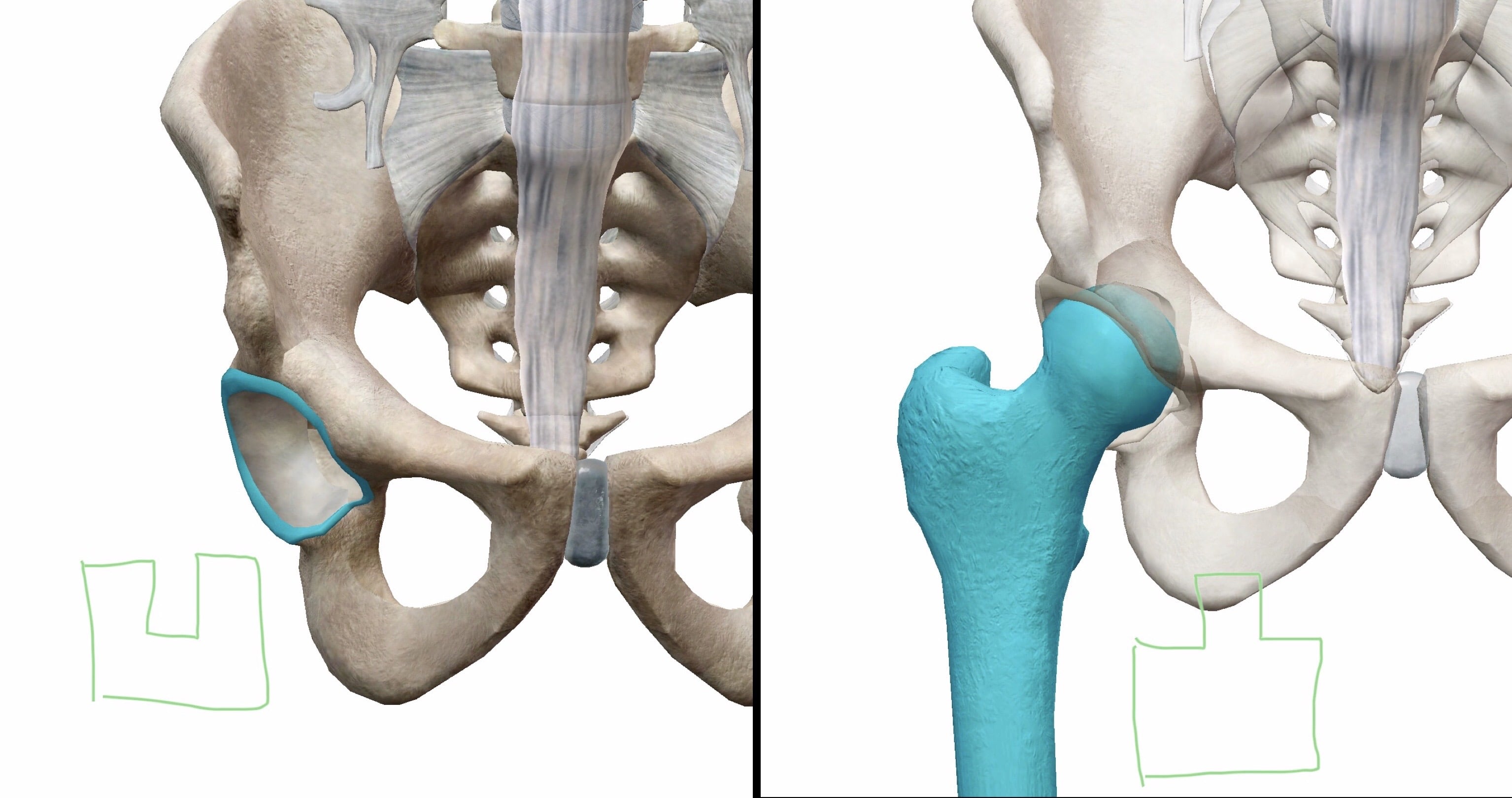 股関節が痛い原因は？病院か整体かどっちに行けばいいの？伊集院整骨院