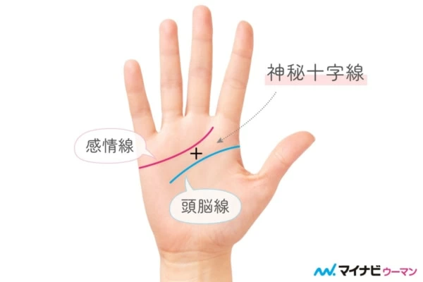 珍しい手相 大特集！レアな線や紋様すべて紹介します - zired