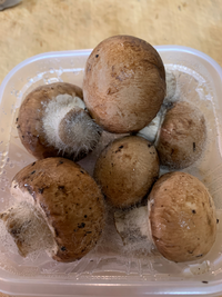 神対応 コストコ商品の返品についてコストコ歴20年アラサー主婦のブログ