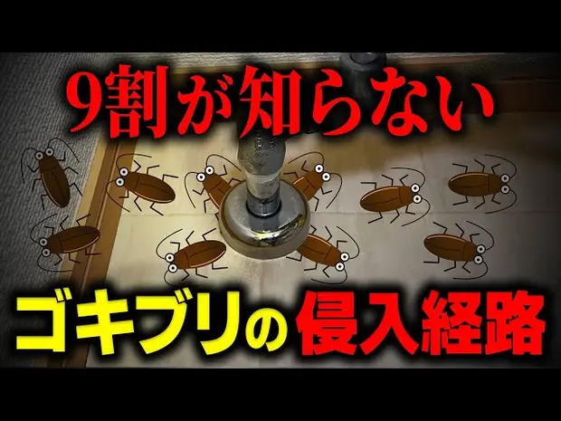 お風呂場の浴槽エプロンがゴキブリの住処になっているのご存じですか？その原因と対策教えます!!ダスキン寒川町支店