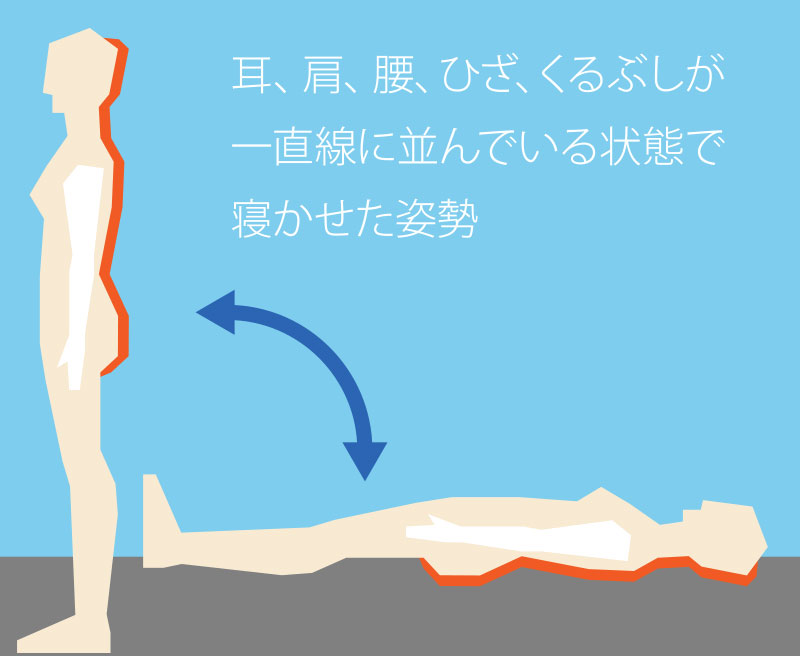 寝方や寝る姿勢に性格は出るのか、心理学的な見方は？大久保町にあるおふとんの丸八真綿 陽だまり工房 大久保工場店