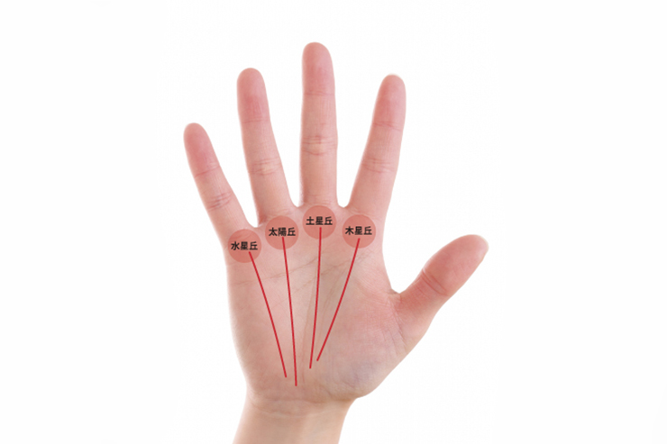 親指の手相の見方とは？ 付け根・第一関節の目が意味する運勢 手相占い 「マイナビウーマン」