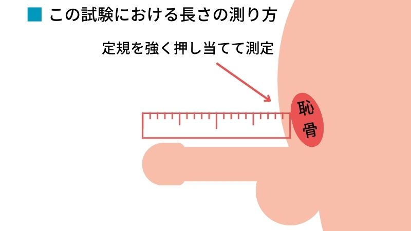 女性が求めるペニスとは？女性の理想と本音を解説｜グー薬局