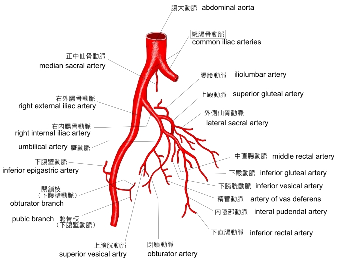 大動脈弁閉鎖不全医療法人植谷医院 植谷医院