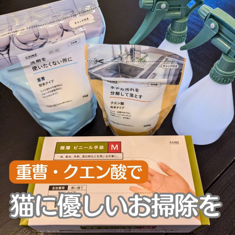 ゴシゴシ厳禁！猫トイレの洗い方。 - 北のねこ暮らし