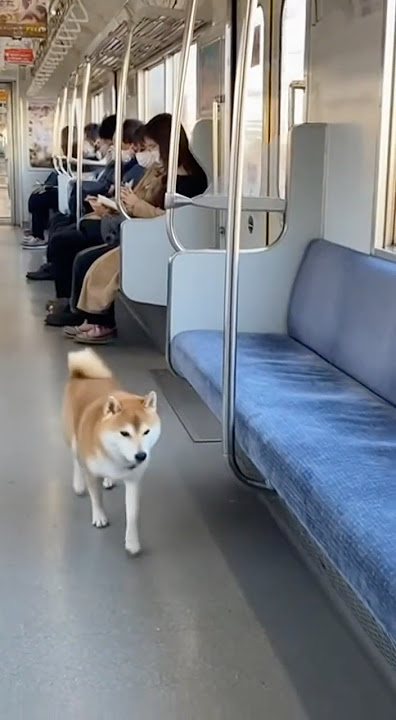 3 3 これで安眠！初めての「寝台列車の旅」講座鉄道All About