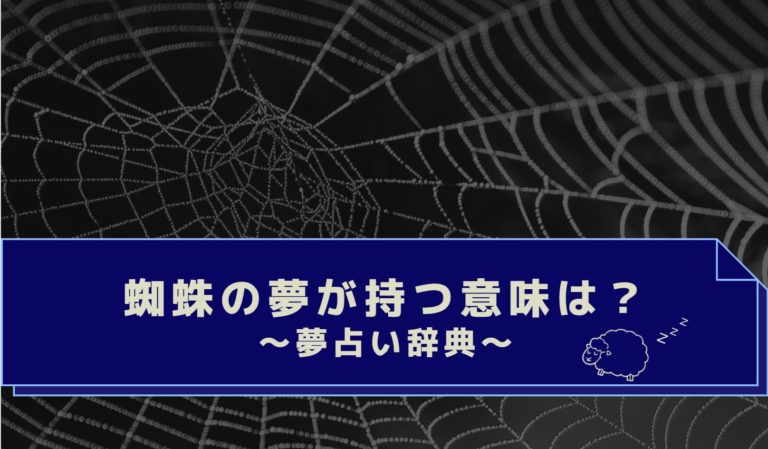 楽天市場 タランチュラ 毒蜘蛛 くも クモ サイズ:23cm ふわふわ もちもち もふもふ ぬいぐるみ おもちゃ ギフト 贈り物 お祝い プレゼントお誕生日 大きい 小さい インテリア : Love Journey