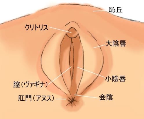 江戸期にも手マンを追求した性典が！「気持ちよくなってもらう」という意識／春画―ル－AM