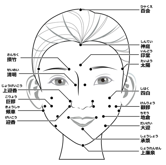 顴」の書き順 筆順正しい漢字の書き方