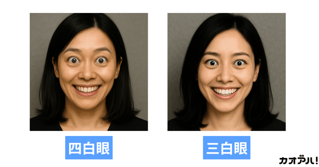 芸能人は目力が命「実は三白眼や四白眼の人が多い？」踊るMikaの学びの宮殿