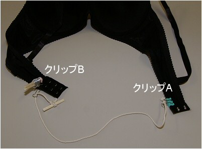 スポーツブラの正しいつけ方BraSheブラシー 公式