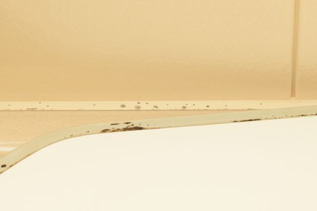 お風呂のゴムパッキン コーキング タイル目地のひどい黒カビを取る方法！最強クラスのおすすめなカビ取りジェルの使い方・落とし方とカビ対策カビ 取り方法の総合サイト カビのとりせつ 公式