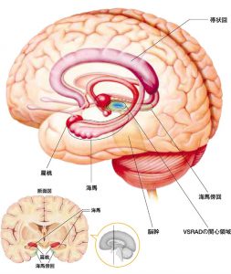 テレビ日経おとなのOFFBSテレ東