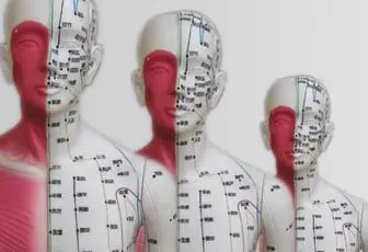 リハセンナレッジ 脳卒中後遺症の改善に効くツボ 7選ニュース＜公式＞脳梗塞リハビリセンタ