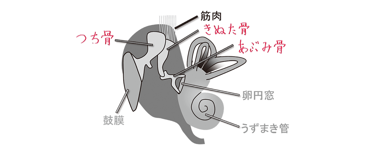 病13-1版_web立ち読み_201201