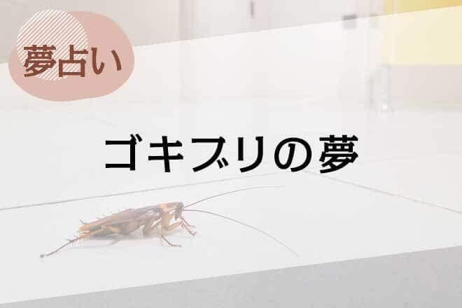 夢占い ゴキブリの夢の意味は？ 食べる・飛んでくる・死骸などシーン別の暗示46選「マイナビウーマン」