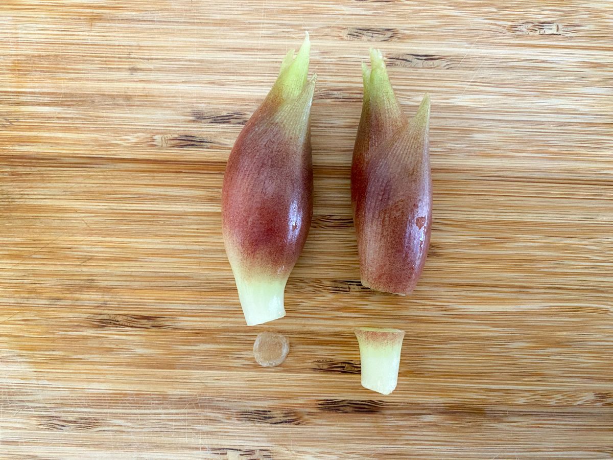 みょうがのNG やってたら今やめよう！みょうがのNG行動！ 菅智香- エキスパート - Yahoo!ニュース